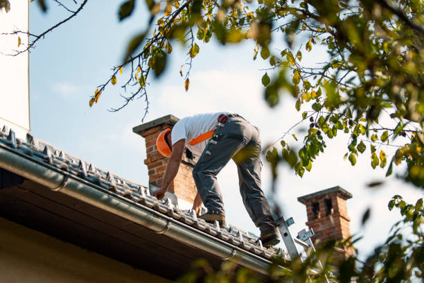 Best Roof Gutter Cleaning  in Falls City, OR